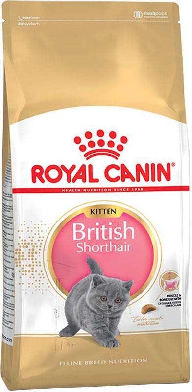 Сухий корм Royal Canin British Shorthair Kitten для кошенят породи Британська короткошерстна 400г