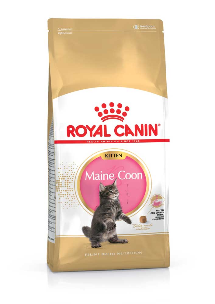 Сухий корм Royal Canin Maine Coon Kitten для кошенят мейн-кунів 400г