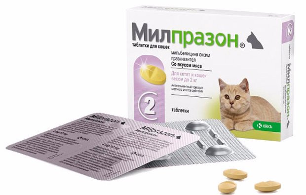 KRKA Milprazon - препарат против глистов Милпразон для маленьких кошек и котят до 2 кг, 1 табл.
