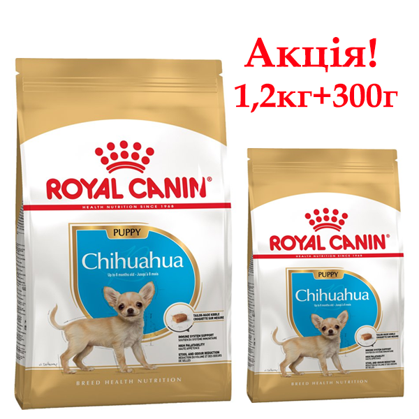 Сухий корм Royal Canin Chihuahua Puppy для цуценят чихухуа Акція! Купуй 1,2кг+300г у подарунок