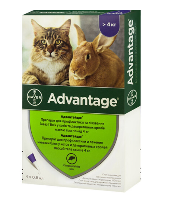 Bayer Advantage 40 -краплі Байєр Адвантейдж від бліх для кроликів, кошенят і кішок (вага від 4 кг), одна піпетка