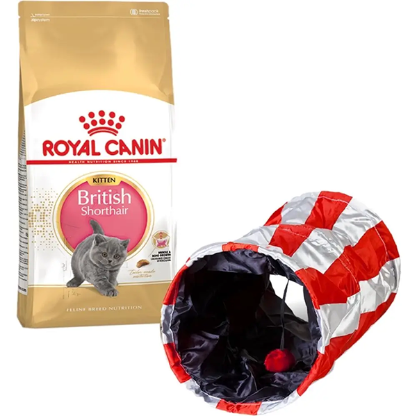 Сухий корм Royal Canin British Shorthair Kitten для кошенят породи Британська короткошерстна 2кг+Подарунок тунель-іграшка