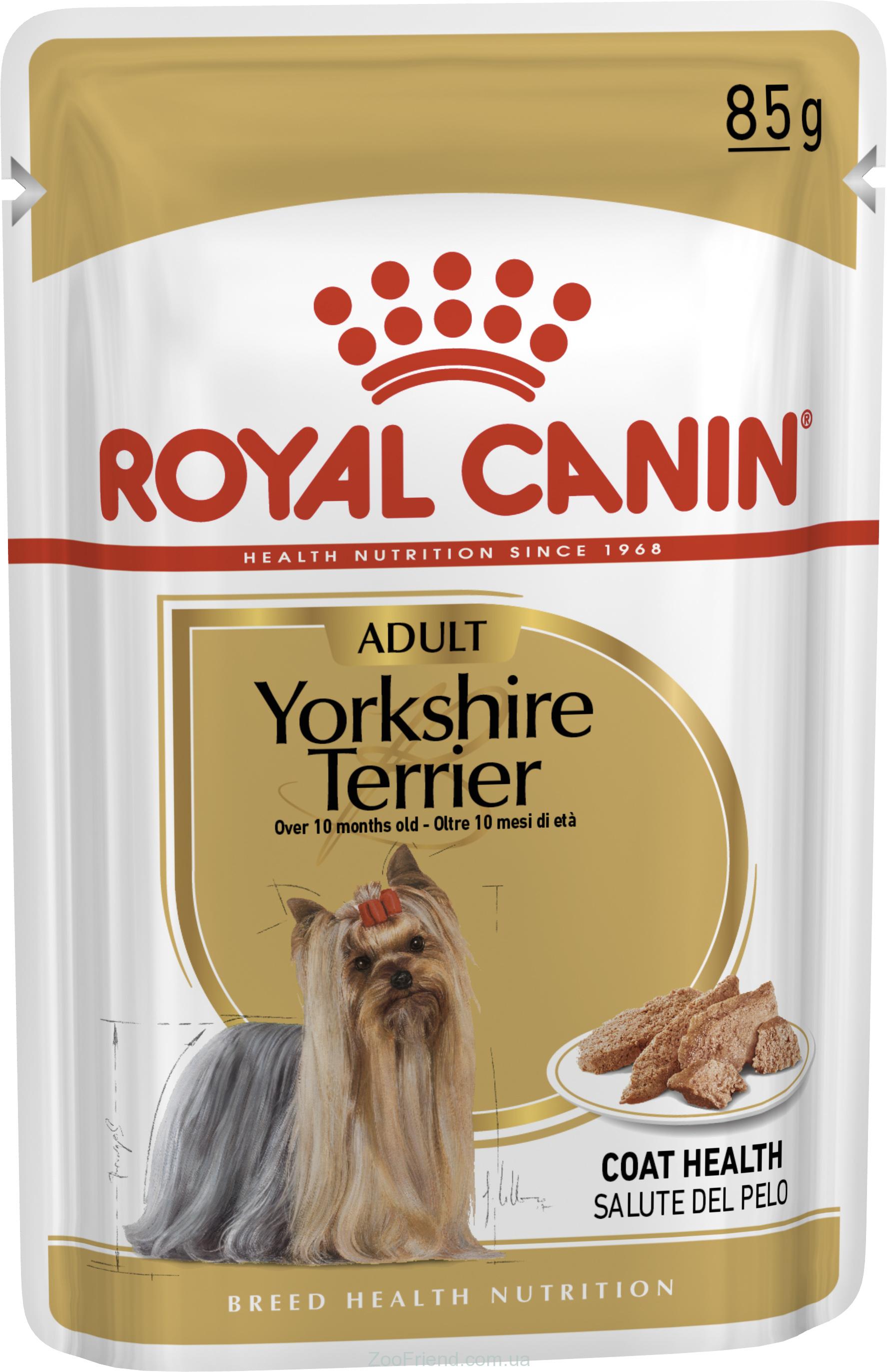 Вологий корм Royal Canin Yorkshire Terrier для собак породи йоркширський тер'єр