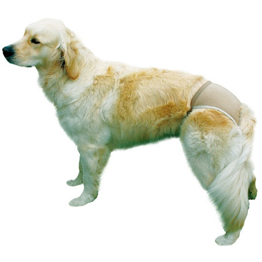 Захисні труси Trixie для собак Тріксі бежеві розмір 4 (50-59 см)