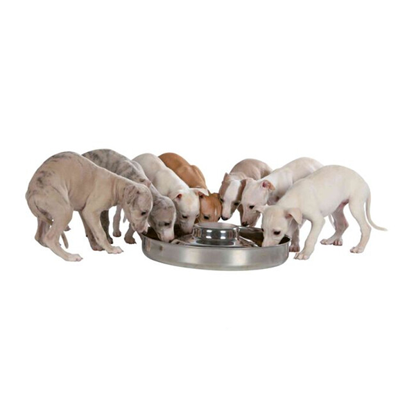 Миска Trixie Junior Puppy Bowl  для щенков Трикси металлическая 1,4 л